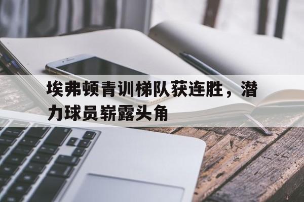 haha体育官网网址-埃弗顿青训梯队获连胜，潜力球员崭露头角